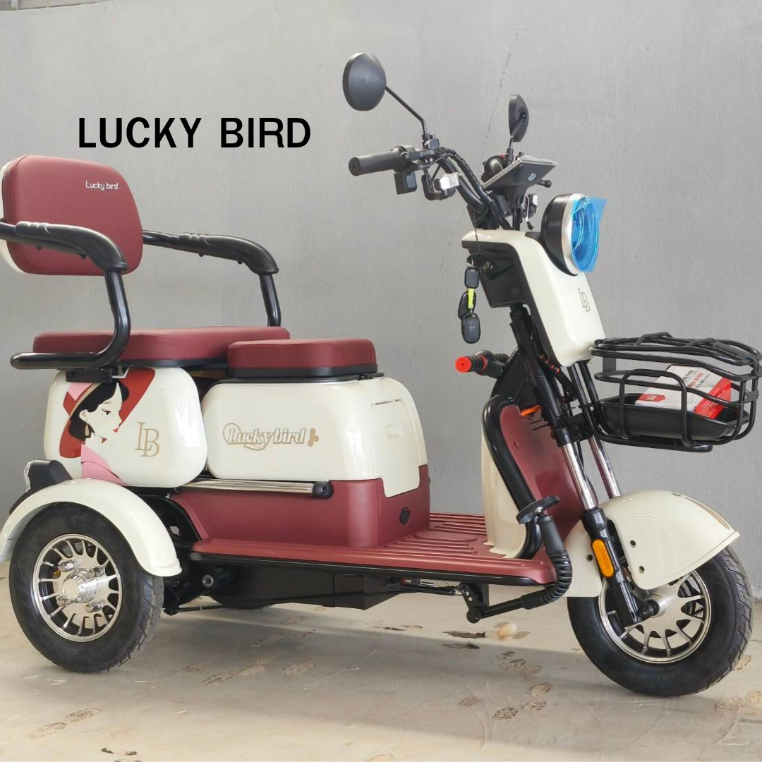 สามล้อไฟฟ้า LUCKY BIRD