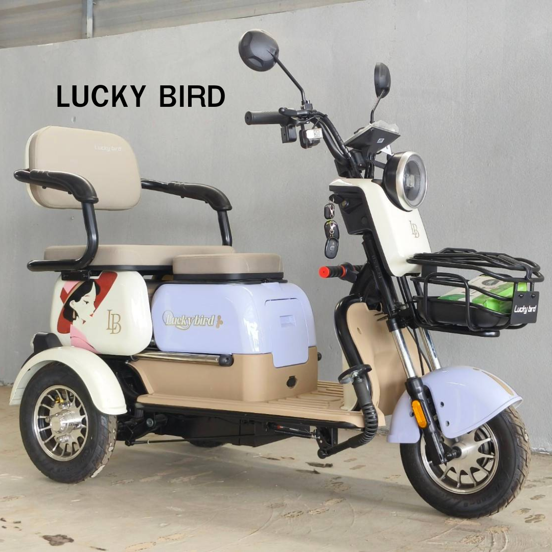 สามล้อไฟฟ้า LUCKY BIRD