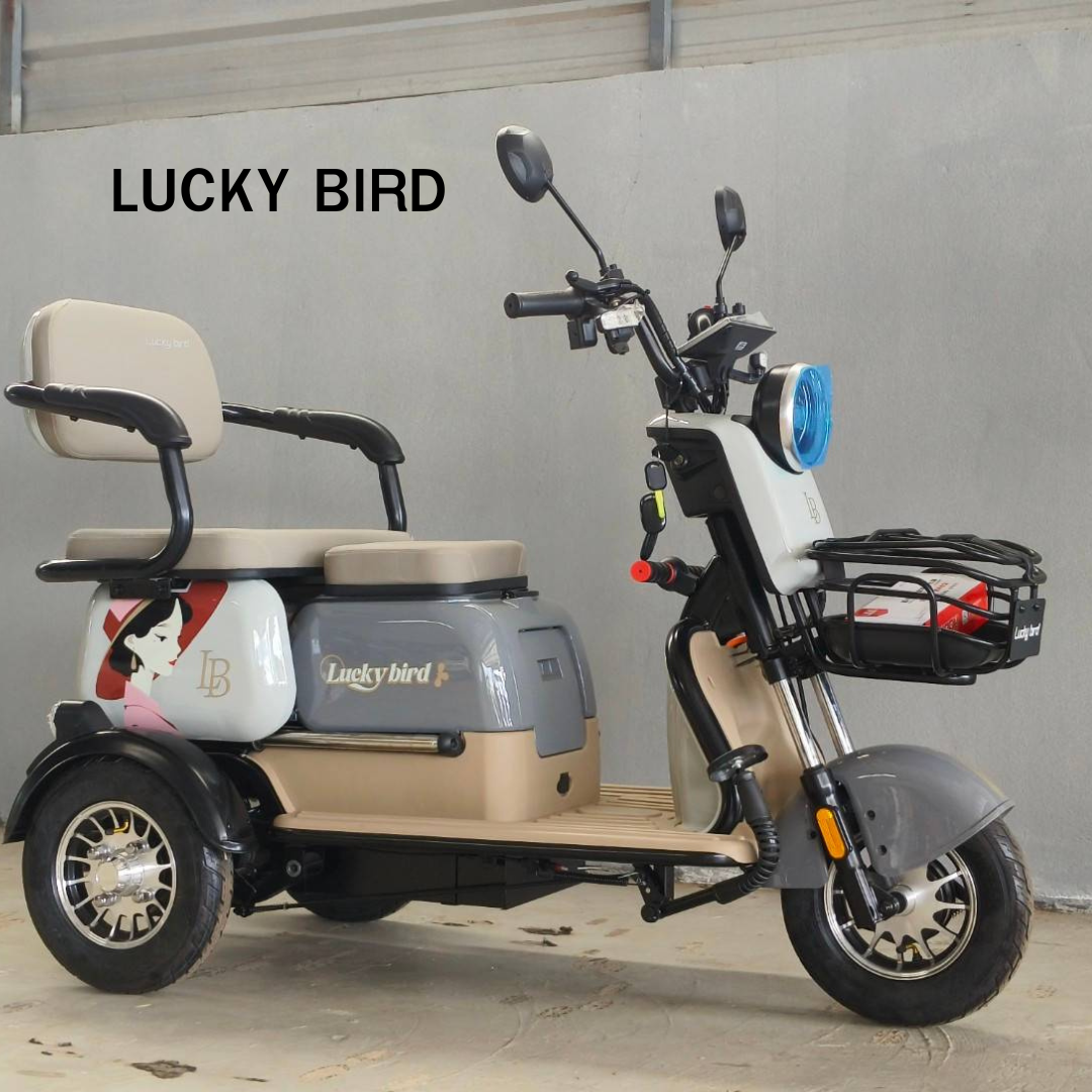 สามล้อไฟฟ้า LUCKY BIRD